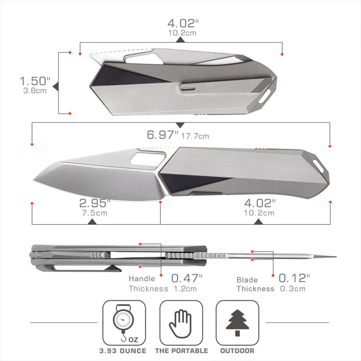 remette-woodpecker-dimensions