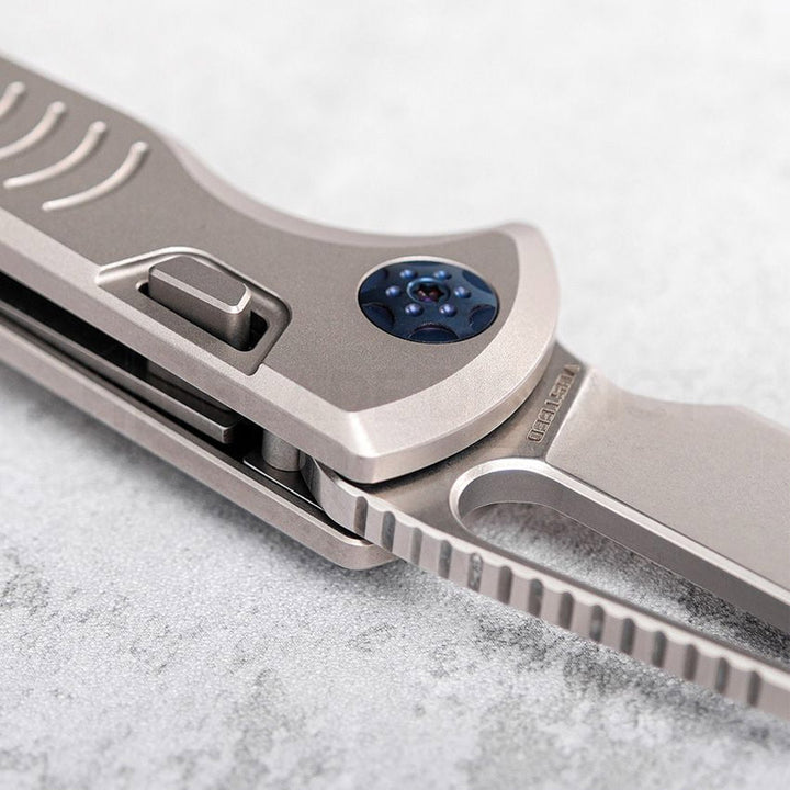 vosteed-leopard-gavko