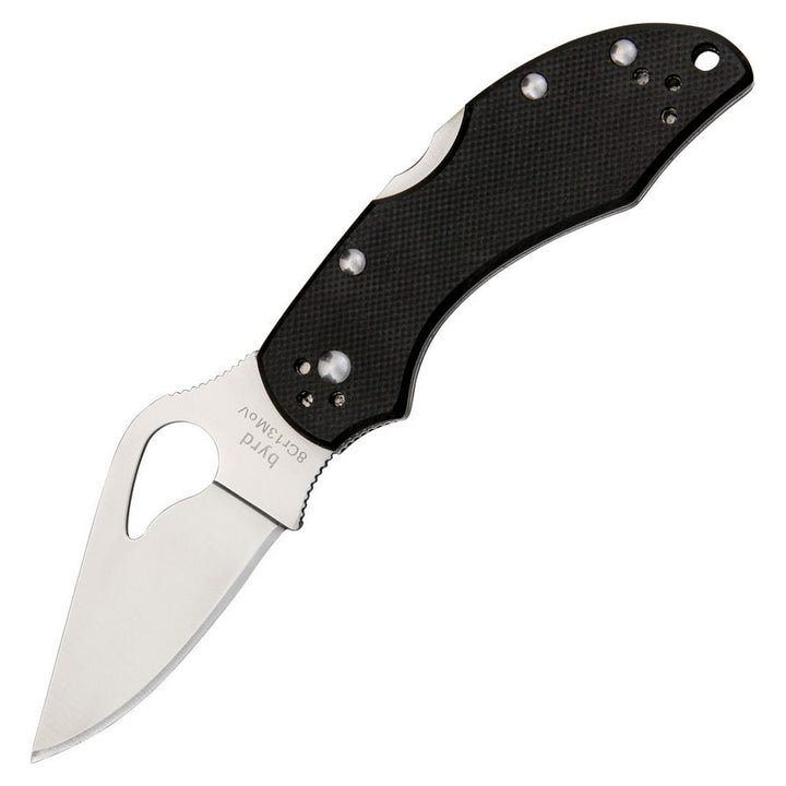 byrd-robin-2-g10