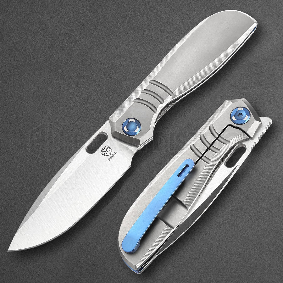 poikilo-gecko-v2
