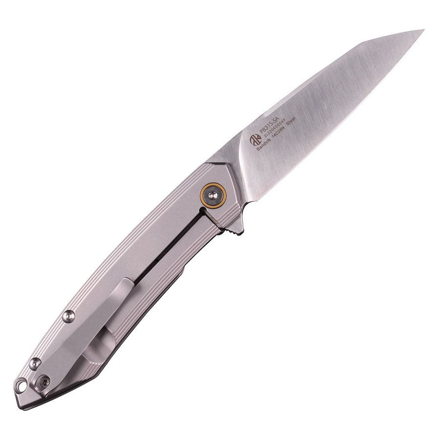 ruike-p831-silver